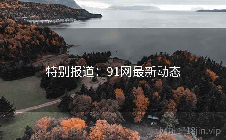 特别报道：91网最新动态  第2张