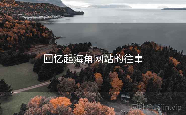 回忆起海角网站的往事  第2张