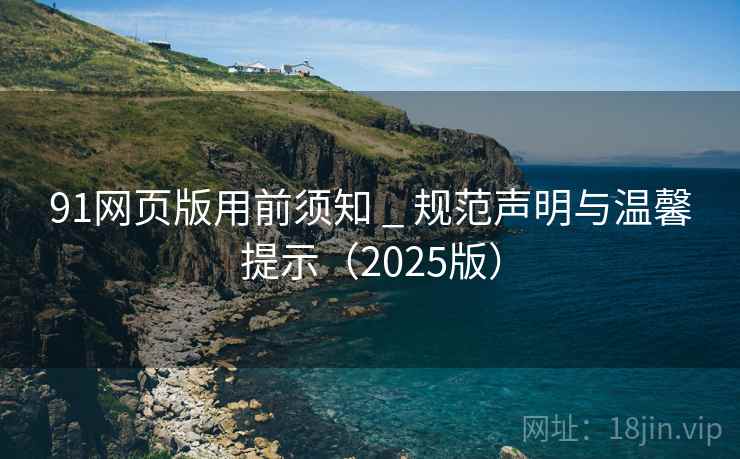 91网页版用前须知 _ 规范声明与温馨提示（2025版）