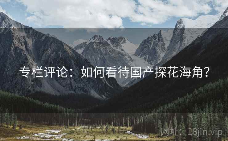 专栏评论：如何看待国产探花海角？