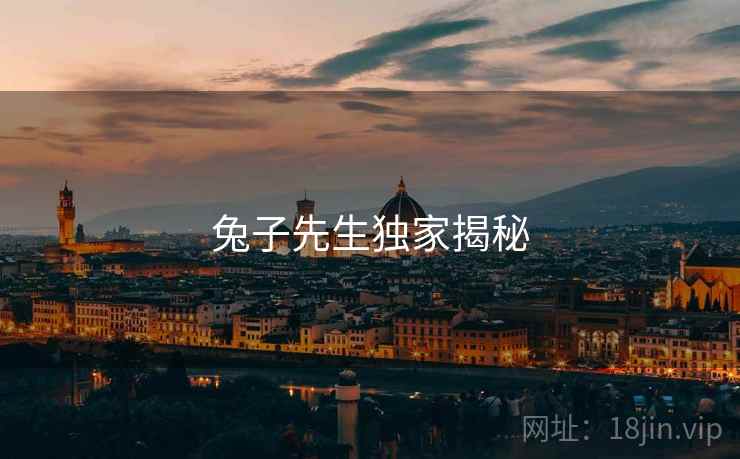 兔子先生独家揭秘