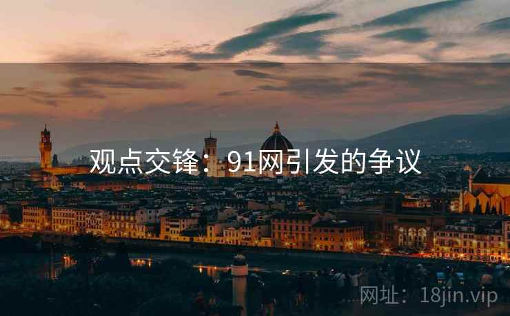观点交锋：91网引发的争议