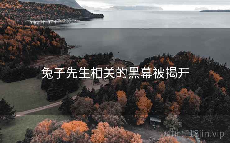 兔子先生相关的黑幕被揭开