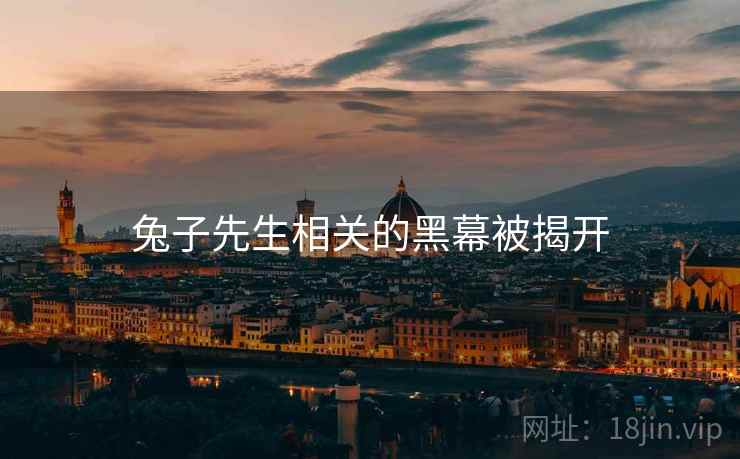 兔子先生相关的黑幕被揭开