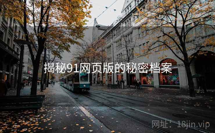 揭秘91网页版的秘密档案