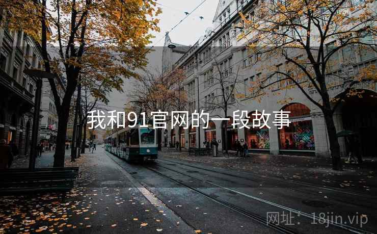 我和91官网的一段故事