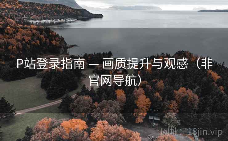 P站登录指南 — 画质提升与观感（非官网导航）