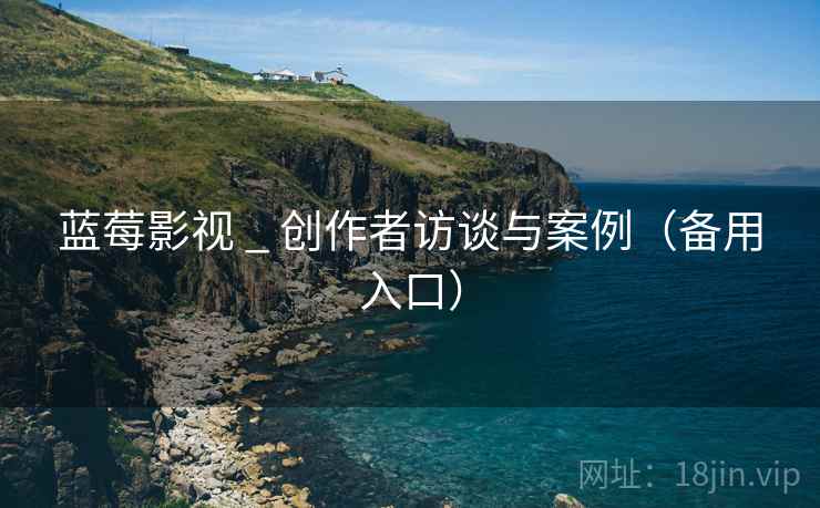 蓝莓影视 _ 创作者访谈与案例（备用入口）