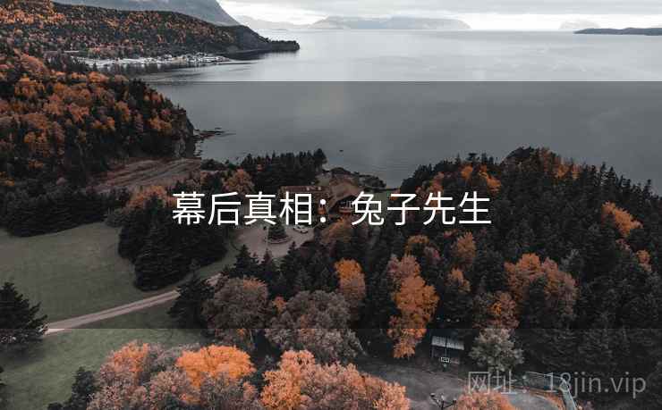幕后真相:兔子先生