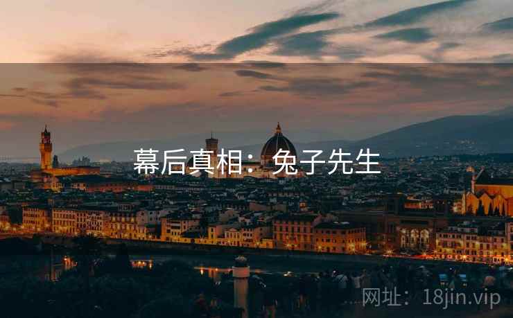 幕后真相:兔子先生