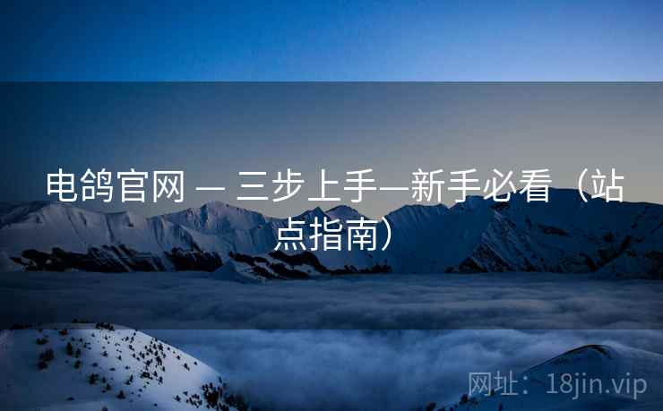 电鸽官网 — 三步上手—新手必看(站点指南)