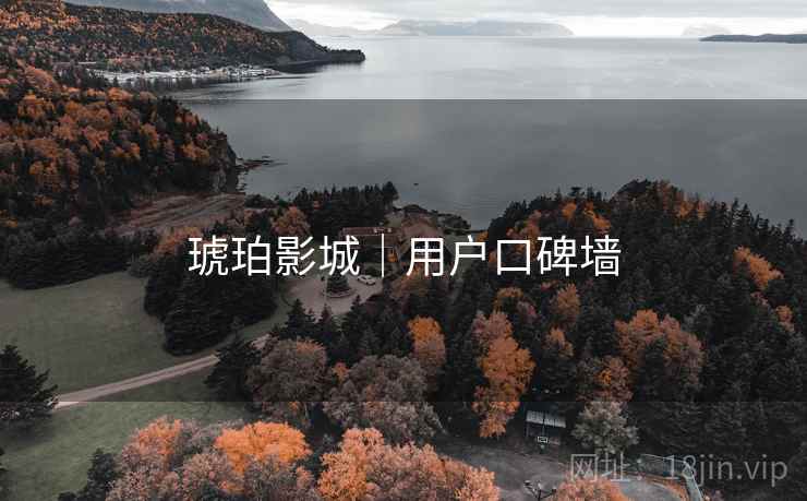 琥珀影城|用户口碑墙
