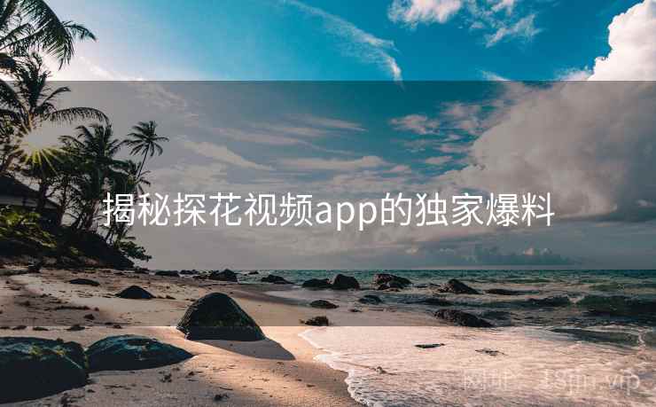 揭秘探花视频app的独家爆料