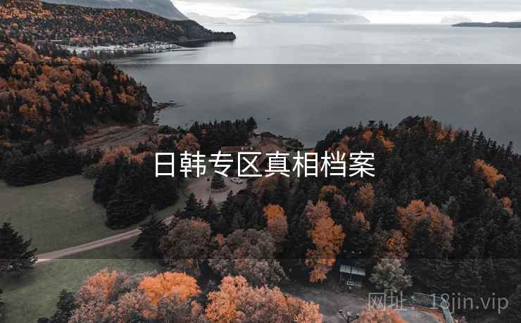 日韩专区真相档案