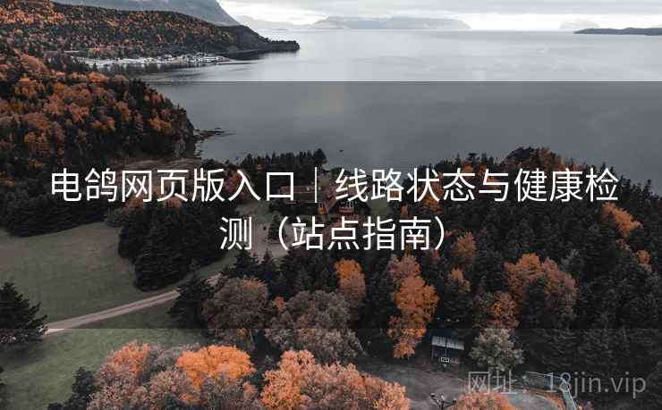 电鸽网页版入口|线路状态与健康检测(站点指南)