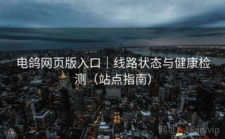 电鸽网页版入口|线路状态与健康检测(站点指南)