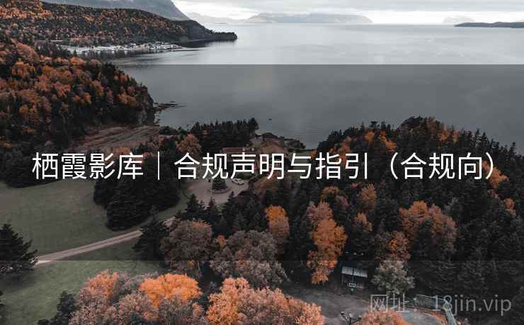 栖霞影库|合规声明与指引(合规向)  第2张 栖霞影库|合规声明与指引(合规向)  第2张