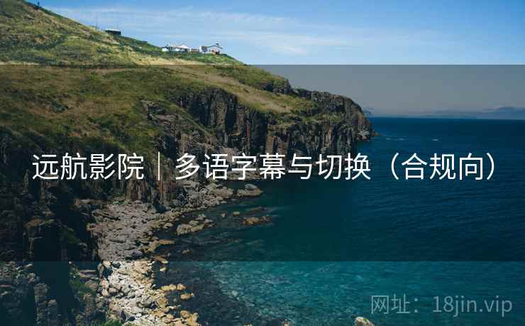 远航影院|多语字幕与切换(合规向)