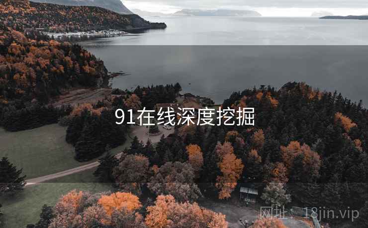 91在线深度挖掘