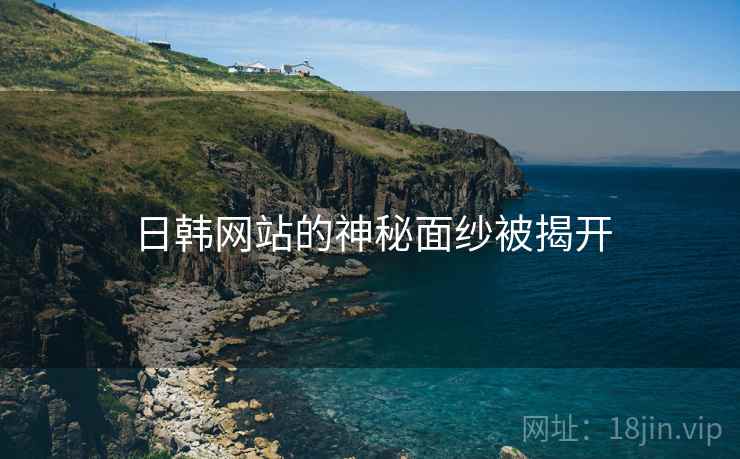 日韩网站的神秘面纱被揭开