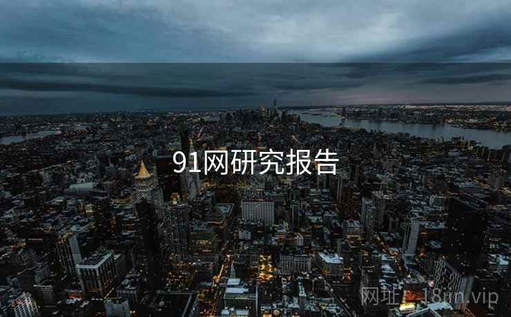 91网研究报告