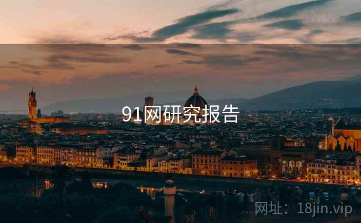 91网研究报告