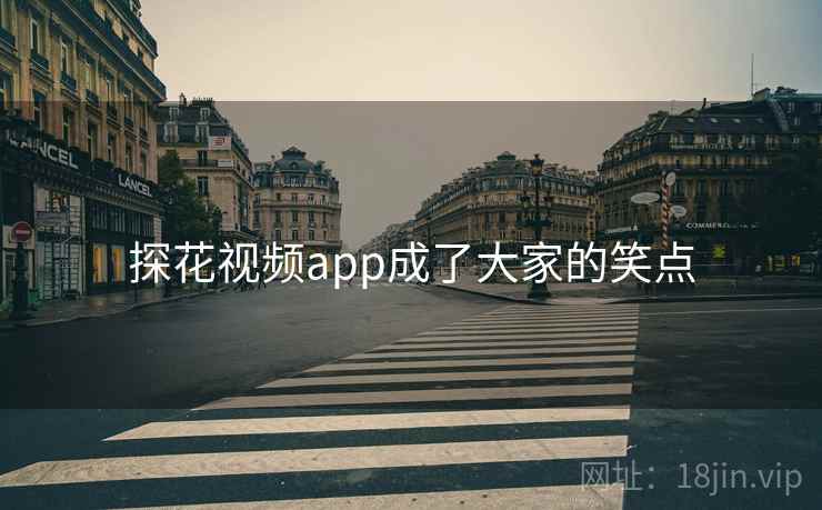 探花视频app成了大家的笑点