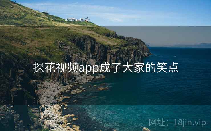 探花视频app成了大家的笑点