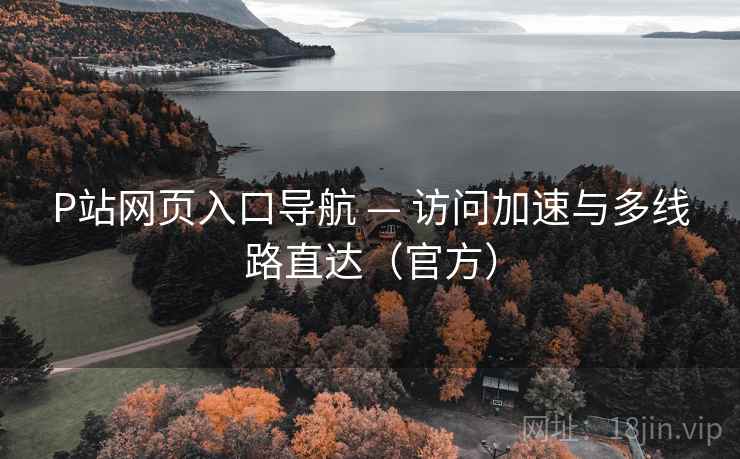 P站网页入口导航 — 访问加速与多线路直达(官方)