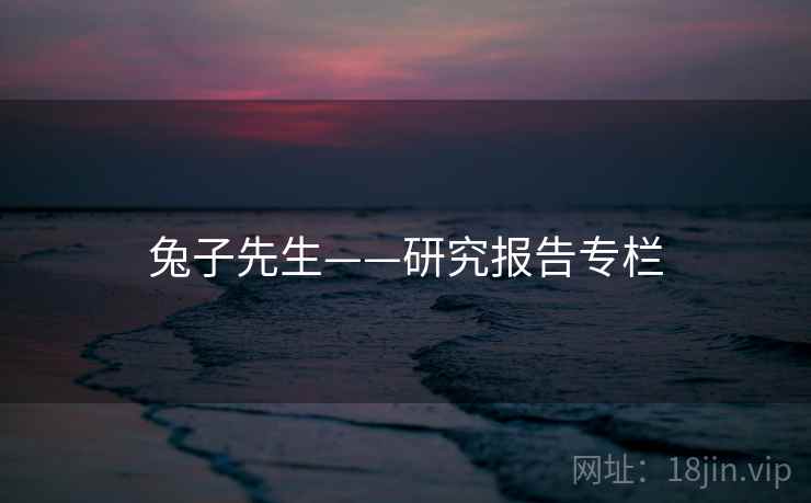 兔子先生——研究报告专栏 兔子先生——研究报告专栏